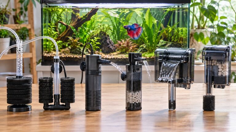 Six gentle aquarium filter styles arranged in front of a planted betta tank.